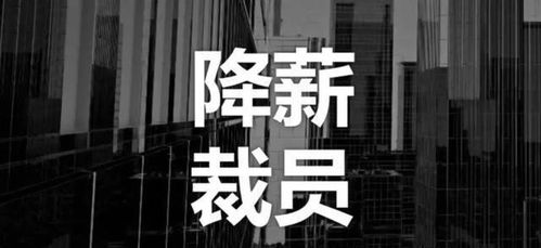 技術壁壘下的商業(yè)抉擇 一則關于堅守與轉型的商業(yè)案例剖析